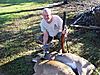 Muzzle Loader Deer Contest Sign Up and Picture/Score Post (REGISTRATION CLOSED)-franks-20deer-20hunt-20at-20randys10-09-11-20004.jpg