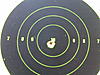 TC Triumph vs CVA Accura V2?-22-250-200-yards.jpg