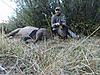 Traditions and Hornady VS Elk... again!-sany0221.jpg