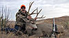 Nebraska muzzleloader mulie-3.jpg