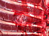 The Impact left a mark...-buck-exit-inside.jpg