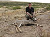 2011 long range Desert Mule Deer-jan-25-355.jpg