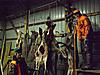 Whew, this is tough!-dsc00624.jpg