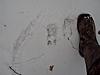 Where does the time go-dsc09549.jpg