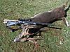 Let's see your LAST deer killed with a muzzleloader!!!-101_2398.jpg