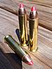 Its just a better...what?-325gr-hornady-leverevolution.jpg