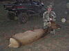 AZ opening day elk down-p1050050.jpg