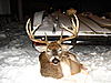 C.V.A ACCURA Shots Fired IN THE SNOW!!!**PICS**-dsc01777.jpg