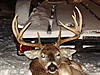 C.V.A ACCURA Shots Fired IN THE SNOW!!!**PICS**-dsc01783.jpg