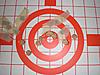 Range Report Bone Collector Part 2-target1-medium-.jpg