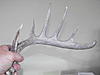 exciting find while turkey hunting-2010_04170004.jpg