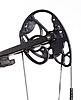 Check out the 2010 Elite Judge bow-cam-20front.jpg
