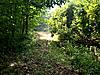 Foodplot before and After Pictures-foodplot-bow-shots-001.jpg