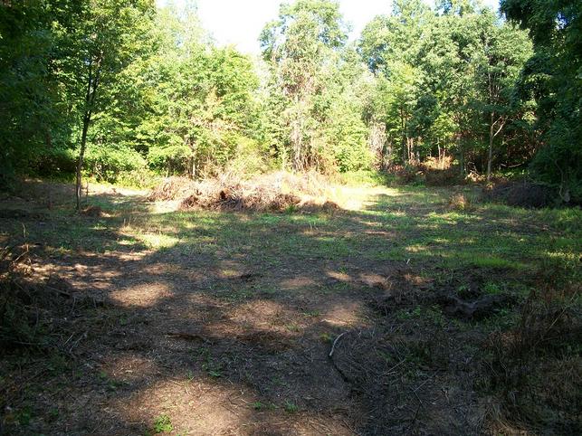 Name:  Foodplot and Bow Shots 015.jpg
Views: 90
Size:  93.7 KB