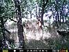 Sparring bucks-prms0002.jpgsmall.jpg