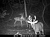 Checked camera today-crab9.jpg