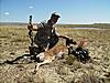 bac from Wy. Antelope-mengoatresize.jpg