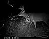 pennsylvania is 1 1/2 weeks away and here is what im looking for-loganville-farm-10-point-009.jpg