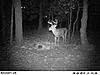 Score???-millers-9-29-10-201.jpg