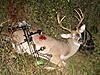 Oklahoma Ten Pointer on opening day-picture-213.jpg