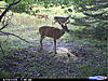 Finally!!!-cdy_0205.jpg
