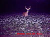 Do you let this buck walk this year?-mdgc0012.jpg
