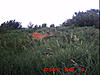 A few trail cam pics from SD-icam0029.jpg