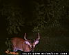 My 1st &quot;Score this deer&quot; post, MD Buck-dsc_0006.jpg