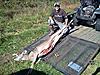 Wind and whitetails-downsized_1015111141.jpg