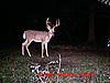 Have one in my sights-mdgc0166.jpg