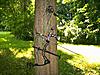 Lets see your bows and arrows-100_0574.jpg