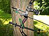 Lets see your bows and arrows-100_0575.jpg