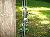 Lets see your bows and arrows-100_0576.jpg