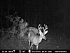 Heres whats at the bow stand-mdgc0154.jpg