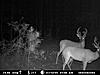 Heres whats at the bow stand-mdgc0273.jpg