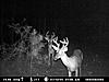 Heres whats at the bow stand-mdgc0269.jpg