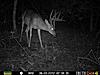 No monster yet, Ill take him though....-8-4-12-10point3.jpg