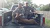 My son, home from Army and Afghanistan, shoots his first deer on opening day.-aj-s-first-deer-dad.jpg