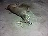 2012 archery deer-9-point-.jpg