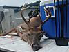 My first ever opening day deer!!!-s5002037.jpg