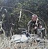 still hunt buck-1031121739_0001.jpg