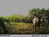 Ground Blinds-pict1428.jpg