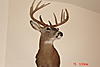 2011 Archery Kill-dsc01005.jpg