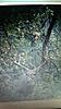 Still Have Hunts Available!!!!-imag0043.jpg