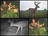 2013 North Dakota Velvet Buck!-fotor01011112324.jpg