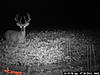 Buck Pictures-july-2014-101-.jpg