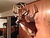 '13 Ark Buck is back-10.1.jpg