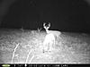Buck Pictures-aug.-2014-137-.jpg