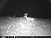 Buck Pictures-aug.-2014-139-.jpg