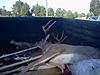 GA buck down-nontypical.jpg